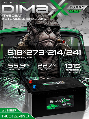 DIMAXX EURO 227ah L+ (313227)